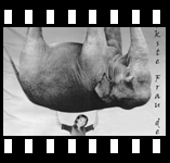 St&auml;rkste Frau der Welt