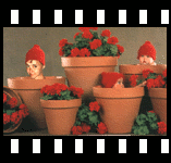 Unsere kleine Topfgesellschaft