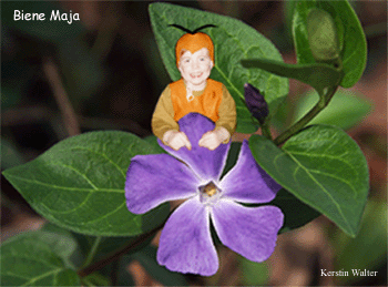 Mein Sohn als Biene Maja