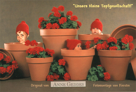 Unsere kleine Topfgesellschaft